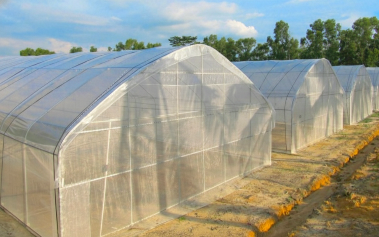 TU Greenhouse